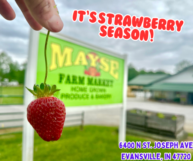 image-997846-its_strawberry_season_graphic-c51ce.w640.png