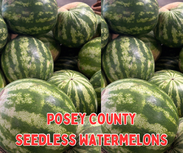image-1001120-Posey_county_seedless_watermelons-16790.w640.png