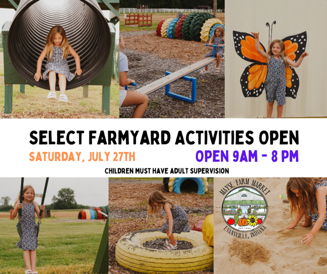 image-1001365-farmyard_activities_graphic-9bf31.w640.png