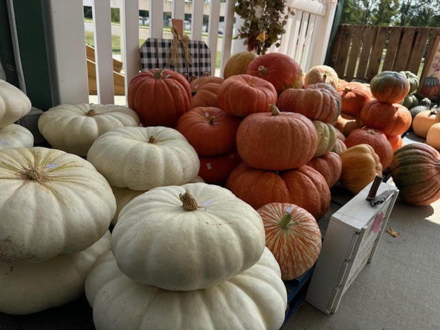 image-1003056-stackable_pumpkins-9bf31.jpg