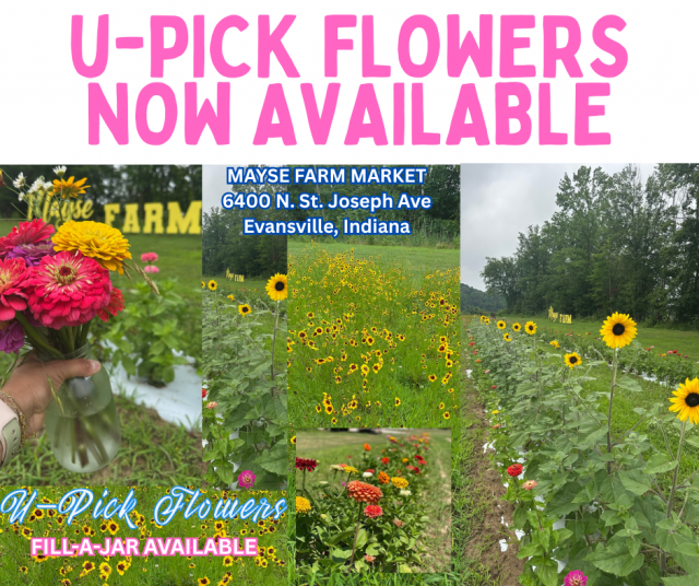 image-1022556-Fill_A_Jar_flyer-9bf31.w640.png