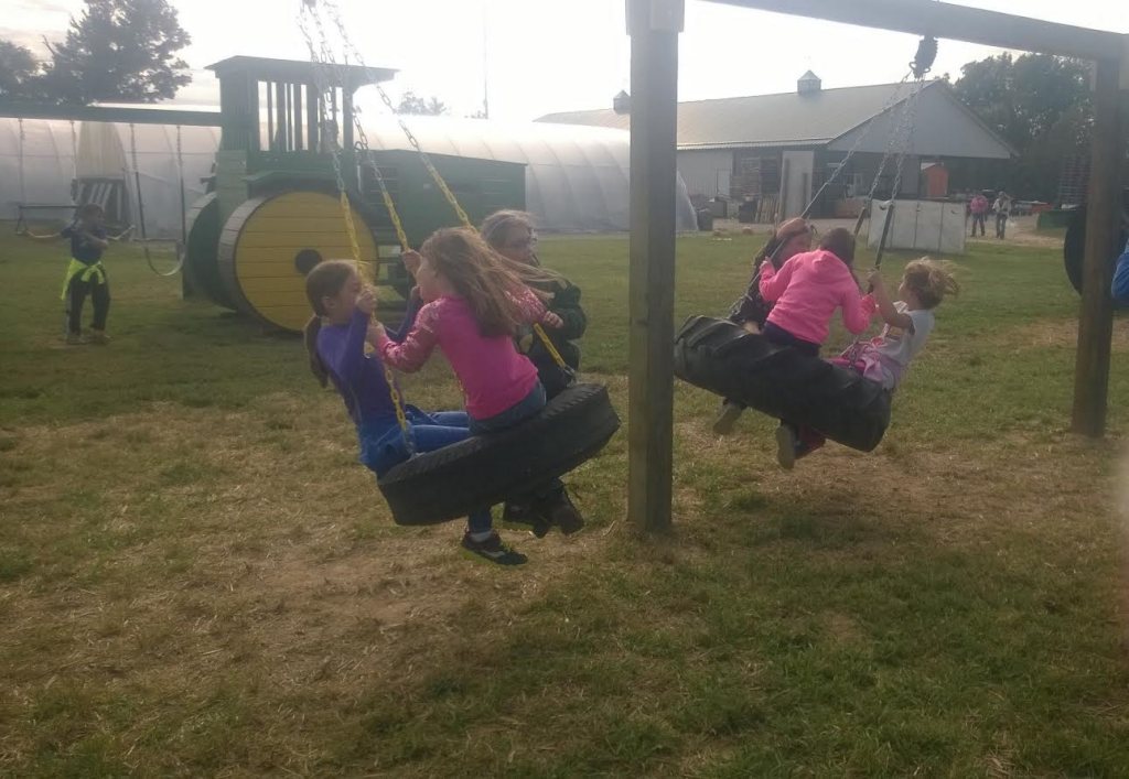 image-568760-swings.w640.png