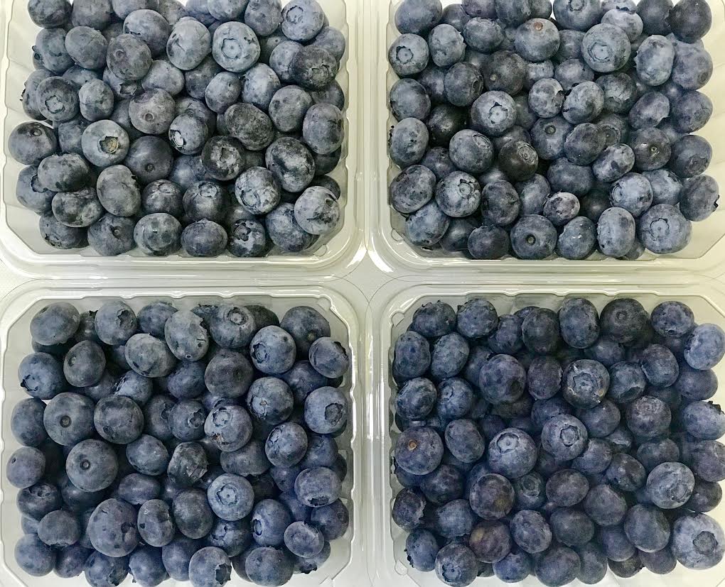 image-814097-Blueberry1-45c48.jpg