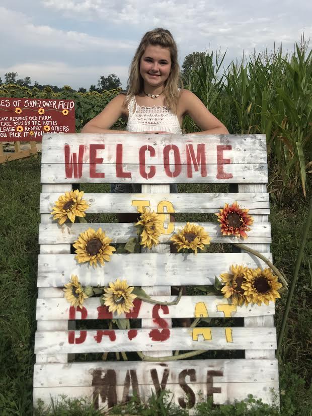 image-833666-Welcome_to_sunflower_days_at_mayse_sign-6512b.jpg