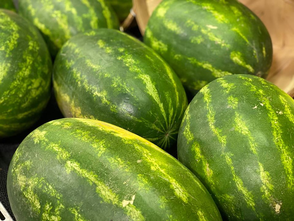 image-881910-Seeded_Watermelons-aab32.jpg