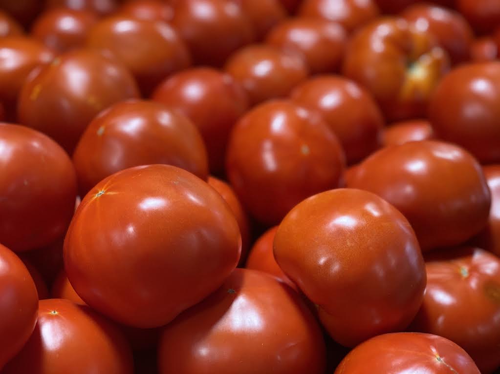 image-894486-Homegrown_field_tomatoes-c51ce.jpg