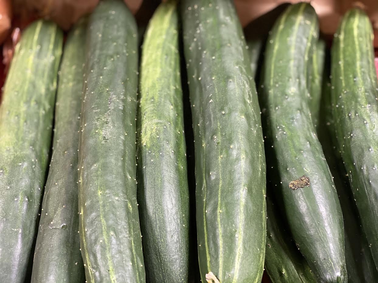 image-927305-Burpless_Cucumbers-6512b.jpg