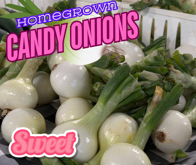 image-999552-sweet_candy_onions_graphic-c51ce.w640.png